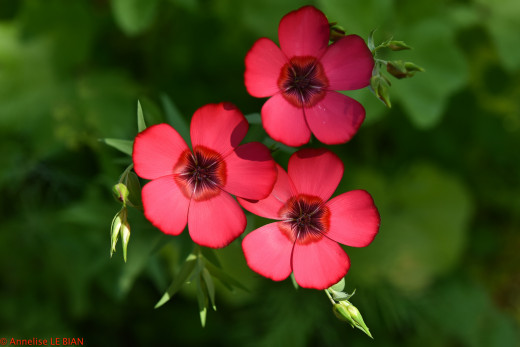 1182671 (a): :2048x1365